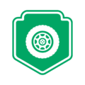ENT-standard-of-care-icons-visual-inspection